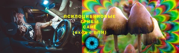 эйфоретик Абинск