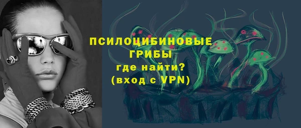 хмурый Абаза