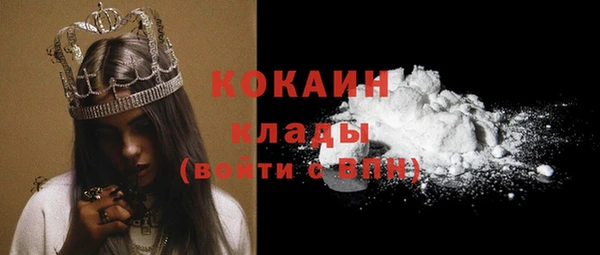 хмурый Абаза
