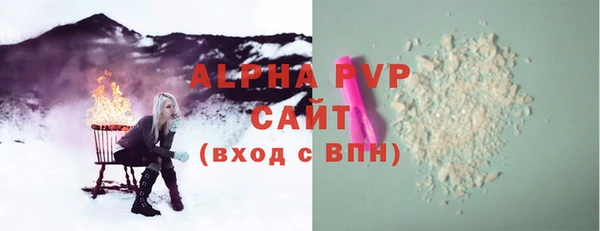 хмурый Абаза