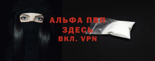 хмурый Абаза
