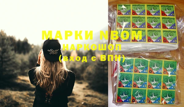 хмурый Абаза