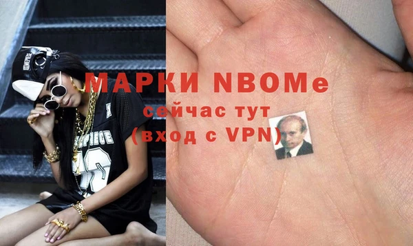 хмурый Абаза