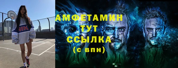 хмурый Абаза
