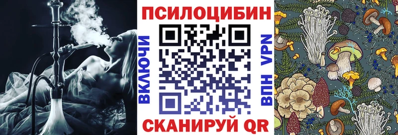 Галлюциногенные грибы мухоморы  дарнет шоп  Щучье 